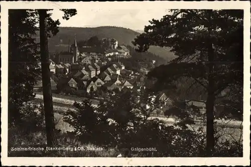 Ak Blankenberg Rosenthal am Rennsteig Thüringen, Panorama vom Galgenbühl
