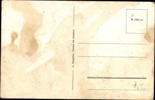 Ak Thiemitz Schwarzenbach am Wald Oberfranken, Forsthaus und Gastwirtschaft Ferd. Schmidt