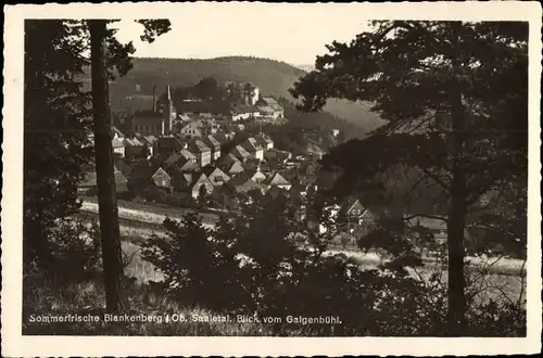 Ak Blankenberg Rosenthal am Rennsteig Thüringen, Panorama vom Galgenbühl