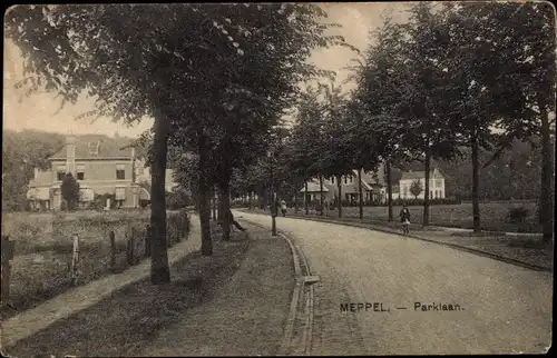 Ak Meppel Drenthe Niederlande, Parklaan