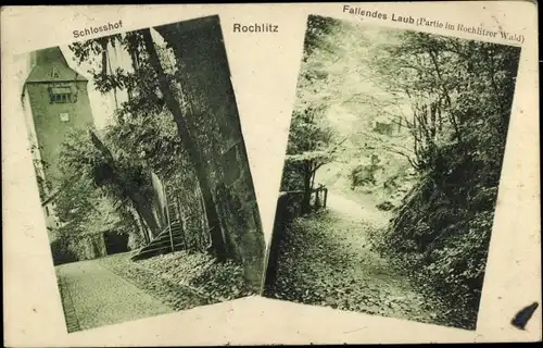 Ak Rochlitz an der Mulde Sachsen, Schlosshof, Rochlotzer Wald