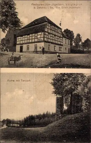 Ak Voigtsgrün Hirschfeld in Sachsen, Restaurant zum Jägerhorn, Ruine, Tierpark