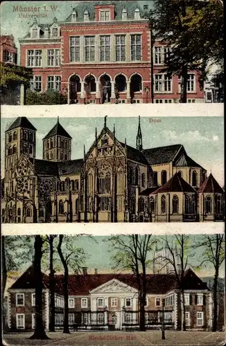 Ak Münster in Westfalen, Universität, Dom, Bischöflicher Hof
