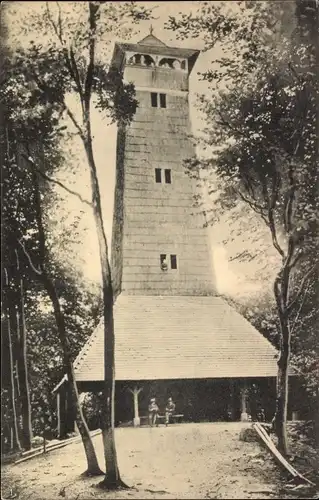 Ak Rimbach im Odenwald, Tromm, Irene-Turm