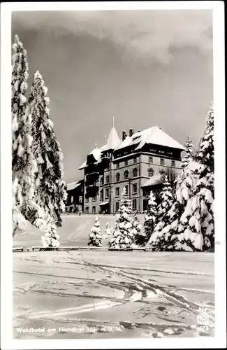 Ak Todtnau im Schwarzwald, Notschreipass, Waldhotel am Notschrei, Winter