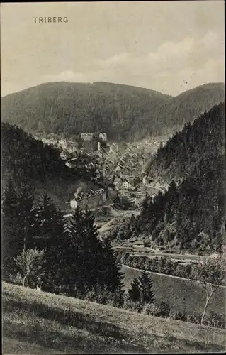 Ak Triberg im Schwarzwald, Panorama