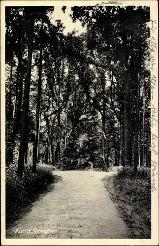 Ak Aurich in Ostfriesland, Upstalsboom