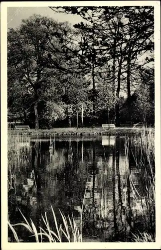 Ak Hardensetten Bad Laer am Teutoburger Wald, Landgut A. Saltenbrock, Park