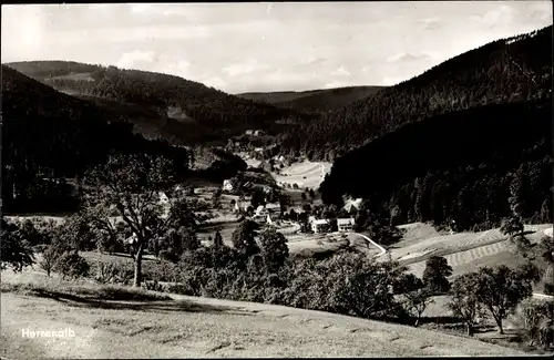 Ak Bad Herrenalb im Schwarzwald, Gaistal