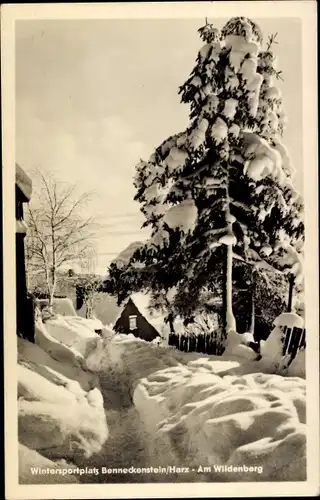 Ak Benneckenstein Oberharz, Am Wildenberg, Winter