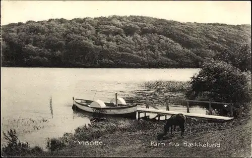 Ak Viborg Dänemark, Parti fra Baekkelund