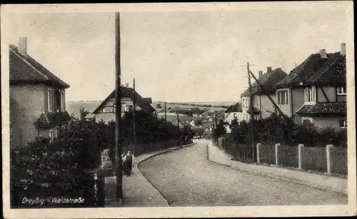 Ak Droyßig im Burgenlandkreis, Waldstraße