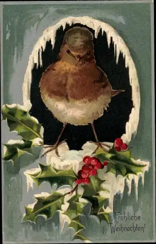 Präge Ak Glückwunsch Weihnachten, Vogel, Stechpalme