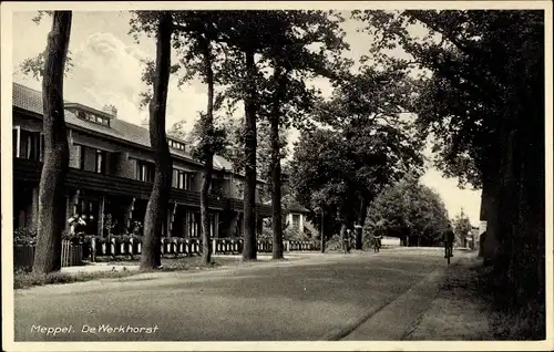 Ak Meppel Drenthe Niederlande, De Werkhorst
