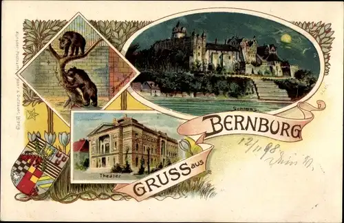 Litho Bernburg an der Saale, Schloss bei Nacht, Theater, Bärenzwinger, Wappen