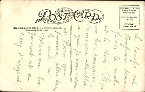 Ak Chrysanthemum, Esel