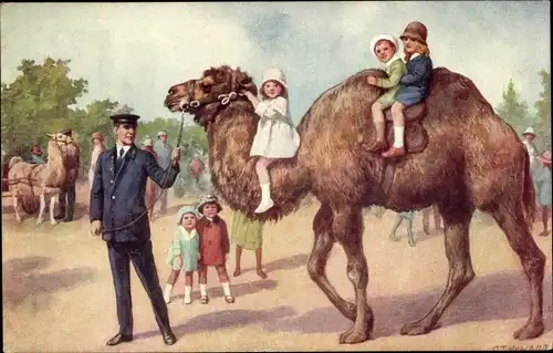 Künstler Ak Zoologischer Garten London, Kamel, reitende Kinder, Lama