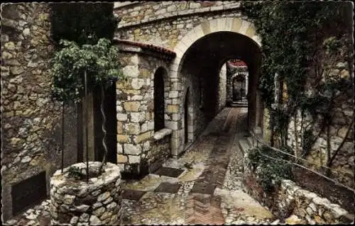 Ak Èze Alpes Maritimes, Chévre d’Or