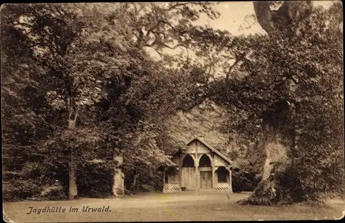 Ak Neuenburg Friesland, Urwald, Jagdhütte