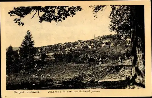 Ak Osterwald Salzhemmendorf Niedersachsen, Gesamtansicht, Hochwals