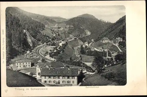 Ak Triberg im Schwarzwald, Totalansicht