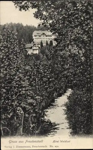 Ak Freudenstadt im Nordschwarzwald, Hotel Waldlust