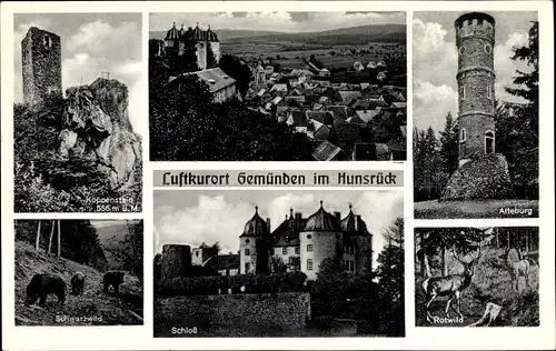 Ak Gemünden im Hunsrück, Schloss, Alteburg, Rotwild, Panorama