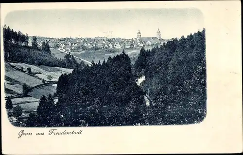 Ak Freudenstadt im Schwarzwald, Panorama