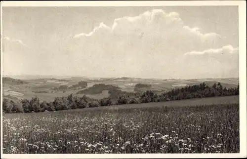 Ak Geising Altenberg im Erzgebirge, Geisingwiesen