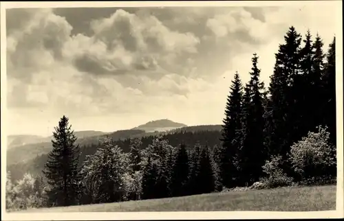 Ak Geising Altenberg im Erzgebirge, Panorama