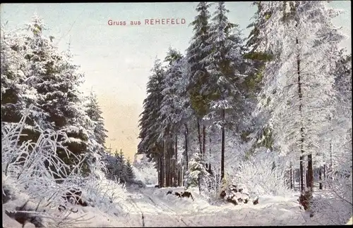 Ak Rehefeld Zaunhaus Altenberg im Erzgebirge, Tannenwald, Winter, Schnee