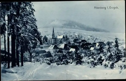 Ak Altenberg im Erzgebirge, Totalansicht