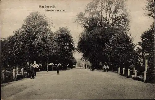 Ak Harderwijk Gelderland, Eingang der Stadt