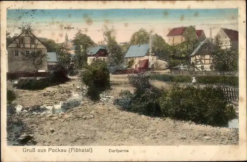 Ak Pockau im Erzgebirge Sachsen, Flöhatal, Dorfpartie