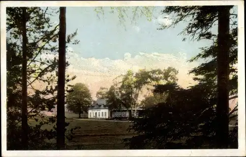 Ak Elterlein Erzgebirge, Gasthaus und Handelsbienenstand Finkenburg, Inh. Georg Schaarschmidt