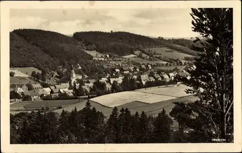 Ak Geising Altenberg im Erzgebirge, Panorama