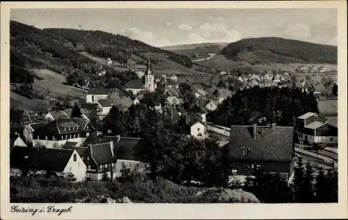 Ak Geising Altenberg im Erzgebirge, Totalansicht