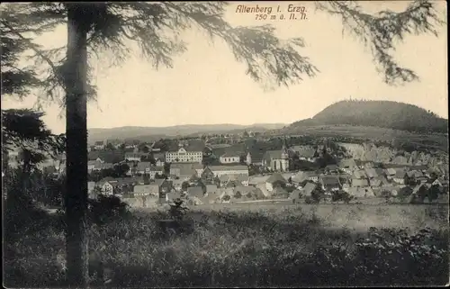 Ak Altenberg im Erzgebirge, Totalansicht