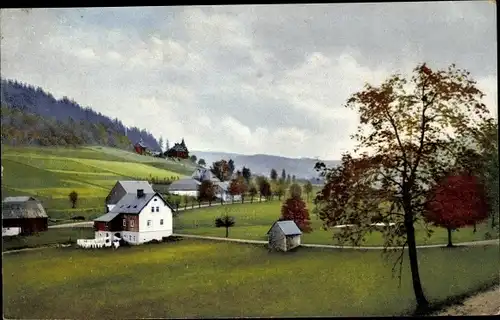 Ak Rehefeld Zaunhaus Altenberg im Erzgebirge, Photochromie, Nenke und Ostermaier, Schloss