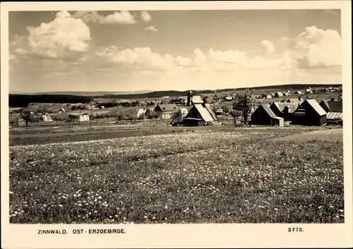 Ak Zinnwald Georgenfeld Altenberg im Erzgebirge, Panorama