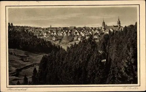 Ak Freudenstadt im Schwarzwald, Panorama