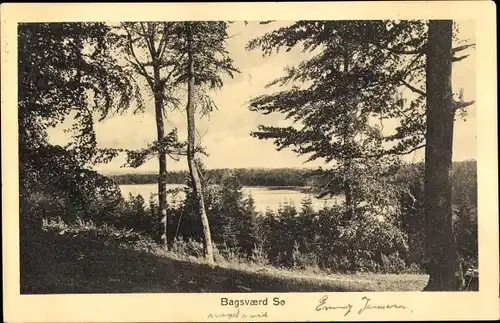 Ak Bagsvaerd Dänemark, See, Waldpartie