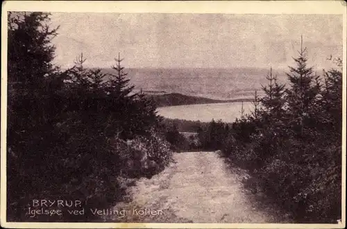 Ak Bryrup Dänemark, Igelsoe ved velling kollen