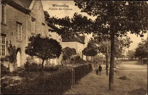 Ak Winterslag Genk Flandern Limburg, Avenue des Chenes