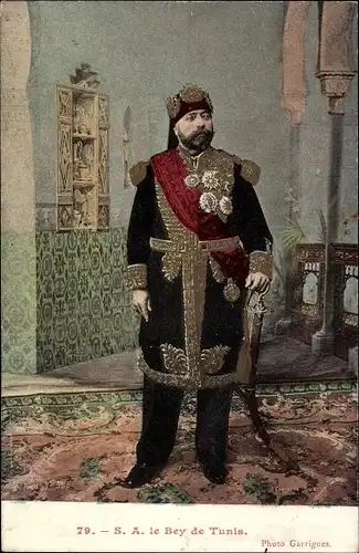 Ak Der Bey von Tunis, Muhammad V an-Nasir