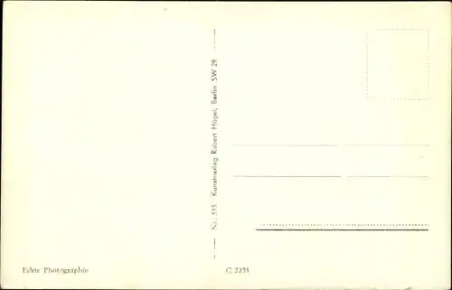 Ak Potsdam in Brandenburg, Bittschriften-Linde, Palasthotel, Rathaus