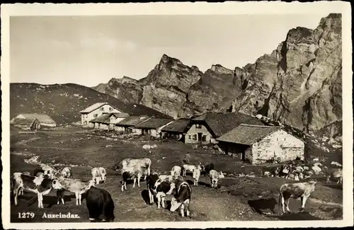 Ak Anzeindaz Gryon Waadt, Ortspartie in den Bergen, Kühe