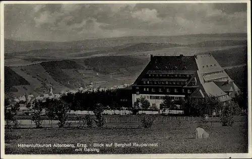 Ak Altenberg im Erzgebirge, Berghof Raupennest, Geising