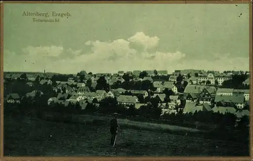 Ak Altenberg im Erzgebirge, Totalansicht