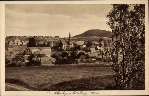 Ak Altenberg im Osterzgebirge, Panorama